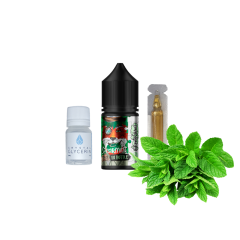 Набір для самозамішування In Bottle Puzzle Spearmint (М'ята, 50 мг, 30 мл)