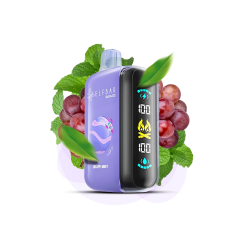 Elf Bar Raya D3 25000 Grape Mint (Виноград М'ята) Одноразовий POD