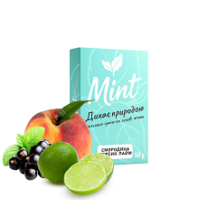 Кальянная смесь Mint Смородина Персик Лайм (50 г)