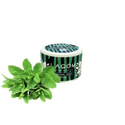 Табак Lagom Navy Critical Mint (Мята, 40 г)
