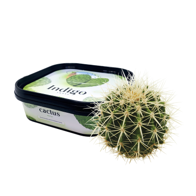 Кальянна чайна суміш Indigo Smoke Cactus (Кактус, 100 г)