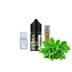 Набор для самозамеса In Bottle Puzzle Spearmint (Мята, 50 мг, 30 мл)
